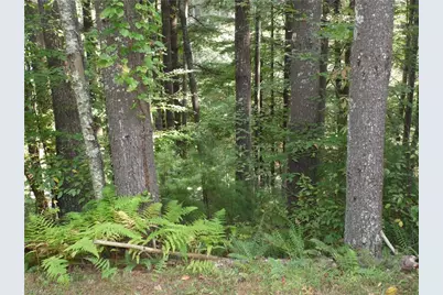 Tbd Woodlands Drive, Piney Creek, NC 28663 - Photo 2