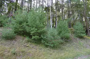Tbd Woodlands Dr, Piney Creek, NC 28663 - Photo 1