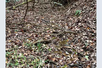 375 Ed Nixon Road, Thurmond, NC 28683 - Photo 26