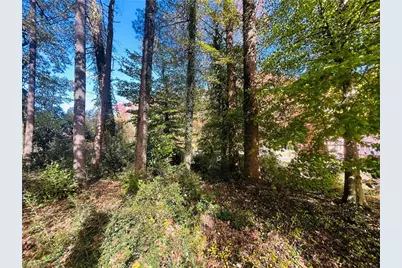 Tbd Old Springs Road, Mount Airy, NC 27030 - Photo 12