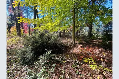 Tbd Old Springs Road, Mount Airy, NC 27030 - Photo 14