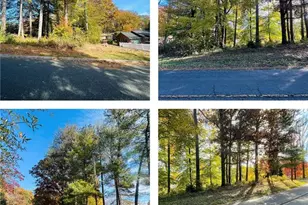 Tbd Old Springs Rd, Mount Airy, NC 27030 - Photo 1