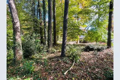 Tbd Old Springs Road, Mount Airy, NC 27030 - Photo 12