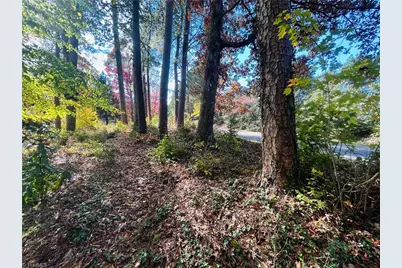 Tbd Old Springs Road, Mount Airy, NC 27030 - Photo 6