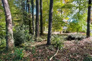 Tbd Old Springs Rd, Mount Airy, NC 27030 - Photo 1