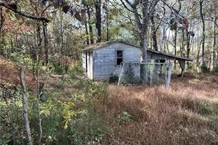 2520 Staley Snow Camp Rd, Siler City, NC 27344 - Photo 12