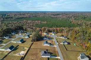 4716 Lord James Pl, Liberty, NC 27298 - Photo 30