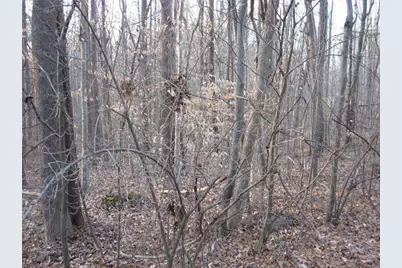 2973 Creek Point Place, Graham, NC 27253 - Photo 4