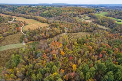 Tbd Billings Hill Church Road, Traphill, NC 28685 - Photo 20