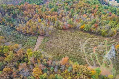 Tbd Billings Hill Church Road, Traphill, NC 28685 - Photo 8