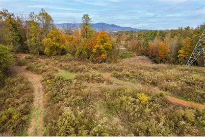 Tbd Billings Hill Church Road, Traphill, NC 28685 - Photo 20