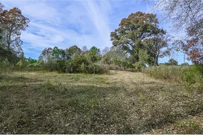 898 Sandy Cross Road, Reidsville, NC 27320 - Photo 8