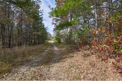 898 Sandy Cross Road, Reidsville, NC 27320 - Photo 6
