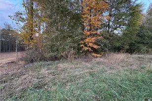0 Davis Country Rd, Randleman, NC 27317 - Photo 1