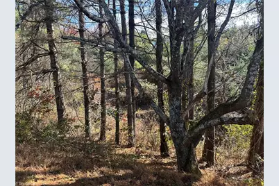 195 Old Barrett Road, Ennice, NC 28623 - Photo 14