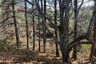 195 Old Barrett Rd, Ennice, NC 28623 - Photo 14