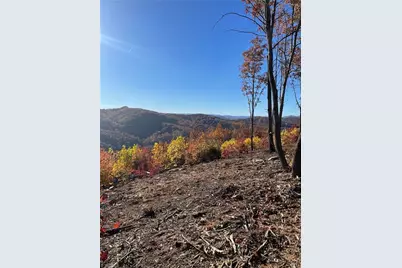 Lot 65 and 66 Widow Mountain Drive, McGrady, NC 28659 - Photo 4