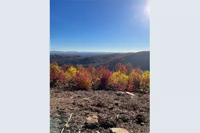 Lot 65 and 66 Widow Mountain Drive, McGrady, NC 28659 - Photo 1