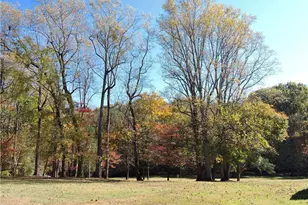 1270 Holder Acres Trail, Lewisville, NC 27023 - Photo 38