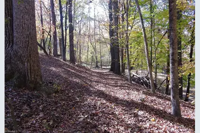 1270 Holder Acres Trail, Lewisville, NC 27023 - Photo 46