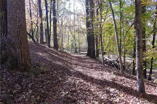 1270 Holder Acres Trail, Lewisville, NC 27023 - Photo 46