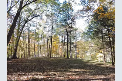 1270 Holder Acres Trail, Lewisville, NC 27023 - Photo 44