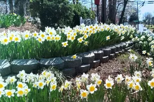 855 Lee St, Asheboro, NC 27203 - Photo 34