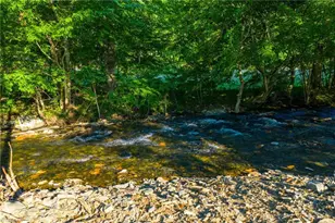 4690 3 Top Rd, Creston, NC 28615 - Photo 8