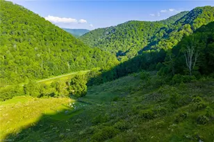 4690 3 Top Rd, Creston, NC 28615 - Photo 26