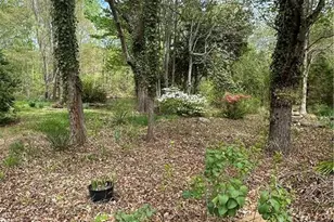 9867 Nc Hwy 62 N, Milton, NC 27305 - Photo 16