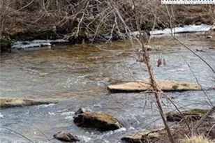 109 Southside Dr, Sparta, NC 28675 - Photo 46