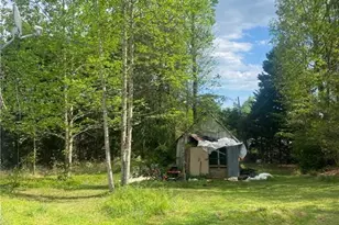 5445 Congo Rd, North Wilkesboro, NC 28659 - Photo 6