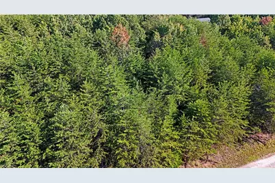 2 0 Beasley School Road, Sandy Ridge, NC 27405 - Photo 12