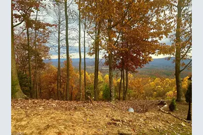 Lot 15 Morning Mist Drive, Boomer, NC 28606 - Photo 4