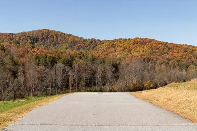 000 Antler Drive, McGrady, NC 28649 - Photo 2
