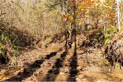 000 Antler Drive, McGrady, NC 28649 - Photo 14