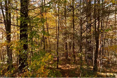 000 Antler Drive, McGrady, NC 28649 - Photo 10