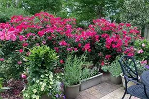 4212 Sullivan's Lake Dr, Greensboro, NC 27410 - Photo 14