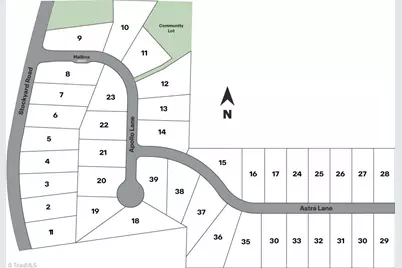 4027 Apollo Lane, Snow Camp, NC 27349 - Photo 36