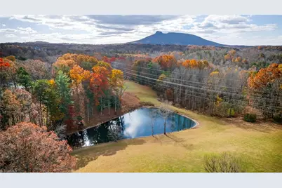 950 Dodson Mill Road, Pilot Mountain, NC 27041 - Photo 4