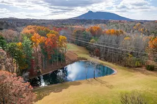 950 Dodson Mill Rd, Pilot Mountain, NC 27041 - Photo 4