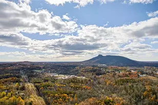 950 Dodson Mill Rd, Pilot Mountain, NC 27041 - Photo 36
