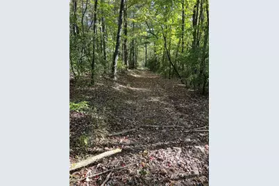 0000 Royall Road, Thurmond, NC 28683 - Photo 4