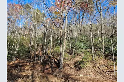 3309 E Pine Street, Mount Airy, NC 27030 - Photo 6