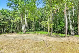 161 Crape Myrtle Ln, Wadesboro, NC 28170 - Photo 42