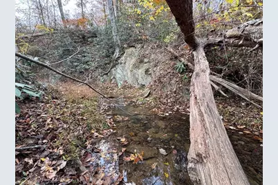 Tbd Doris Avenue #38.7 Acres, Mount Airy, NC 27030 - Photo 2