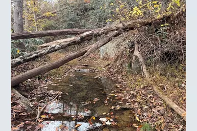 Tbd Doris Avenue #38.7 Acres, Mount Airy, NC 27030 - Photo 8