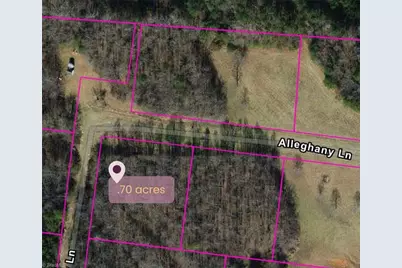 9076 Alleghany Lane, Pilot Mountain, NC 27041 - Photo 4