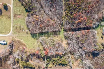 6190 Alleghany Lane, Pilot Mountain, NC 27041 - Photo 4