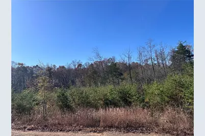 5 Stephens Trail Road, Sandy Ridge, NC 27046 - Photo 2
